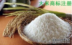 大米商标注册属于几类？