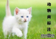 动物商标注册属于哪个类别？