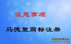 马德里商标注册有哪些注意事项？