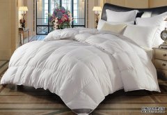 鸭绒被商标转让流程和资料