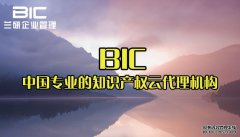 注册商标转让协议范本