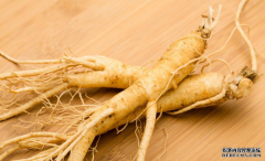 人参商标注册属于第几类商标