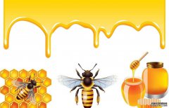 蜂蜜商标转让 蜂蜜商标属于第几类