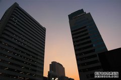 商标保护的实际意义都有什么呢？