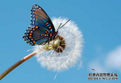 商标交易的常见纠纷有哪些？