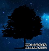 商标变更代办都需要提供哪些资料呢？