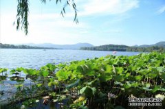 杭州商标转让交易到底哪家好？