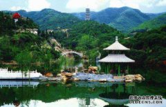 山东商标转让交易网哪家好？