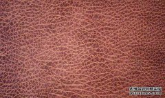 皮革类商标转让需要注意什么事项？