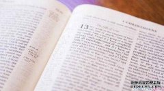 英文商标注册为什么那么容易被驳回？