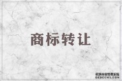 商标转让归属权是转给公司和个人，哪个好？