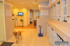 宠物寄养服务商标转让需要注意什么事项？