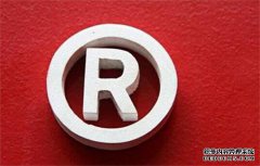 注册商标完成后，该如何进行商标保护？