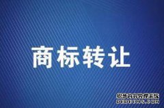 纳尼？商标转让居然还会有限制？
