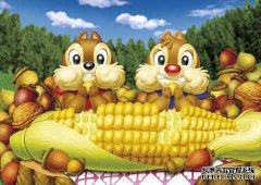 购买一个玉米种子商标需要哪些流程？