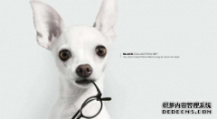 文字商标可以用艺术字吗？