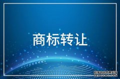 市场接受度高的商标有哪些共同点？