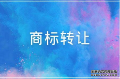 商标转让交易的五点细节问题