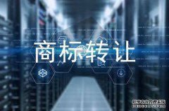 商标转让多久才能过户？流程是怎么样的？