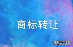 商标转让多久可以查询，查询期限是什么时候？