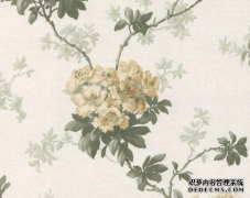 墙纸商标转让流程是什么，时间多久转让费用多少呢？