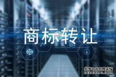 商标转让办理流程是什么？