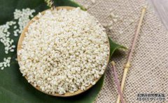 糯米商标的转让流程及价格