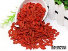 转让一个枸杞商标要多少钱(转让枸杞商标为什么比注册好)