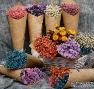 转让一个干花商标多少钱