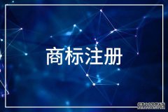 个人申请商标注册流程