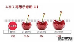 车厘子商标注册应该如何选择？