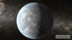 转让鞋子商标的转让形式都有哪些？