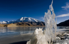 办理注册商标转让都有哪些必要条件？