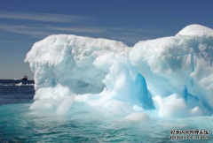 商标转让的过程中都要注意些什么？