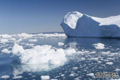 R商标是什么？转让都需要哪些材料？