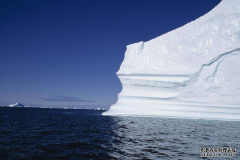 商标转让中常见纠纷都有哪些呢？