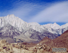 第三类商标的转让流程是什么样的？