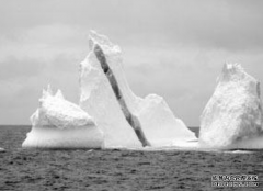 照明产品商标转让都需要哪些文件？