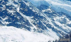 第五类商标转让需要的文件都有哪些？