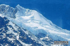 第四类商标转让的流程是什么样的？