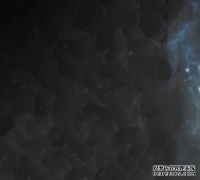 商标转让是不是需要公证呢？