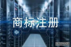 “网红”商标申请也会发生被驳回的情况吗？