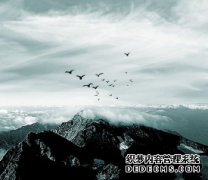 申请变更商标的途径是什么样的？