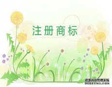 商标查询该怎么办理？