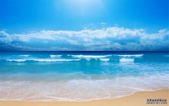 商标驳回了到底有没有必要做复审？