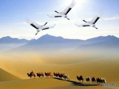 博色商标注册第23类-纱线丝博色商标查询含义说明解读