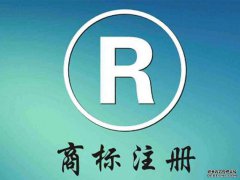 卓莎儿商标注册第27类-地毯席垫卓莎儿商标查询含义说明解析