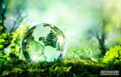 母公司豁免商标使用费你了解多少？